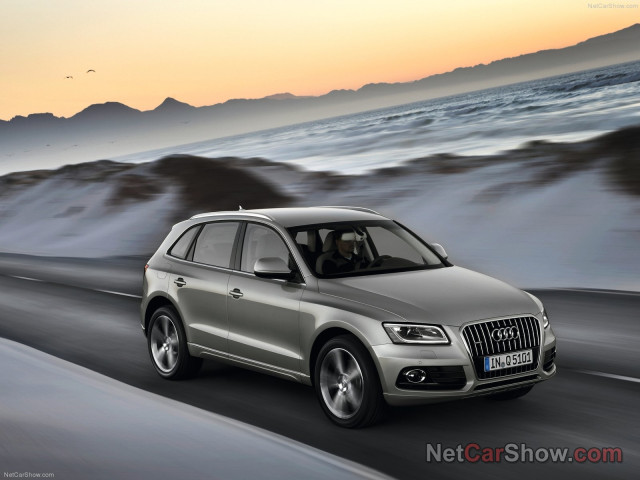 audi q5 pic #91439