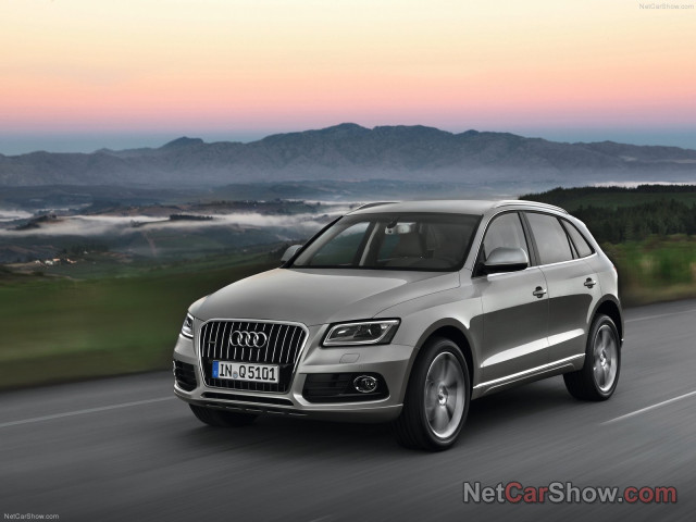 audi q5 pic #91440