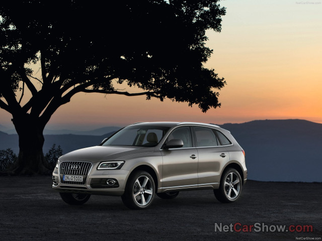 audi q5 pic #91441