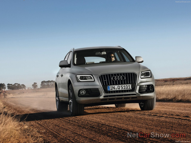 audi q5 pic #91442