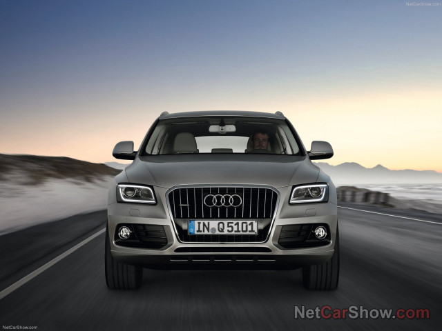 audi q5 pic #91446