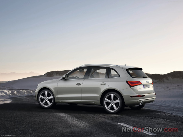 audi q5 pic #91448