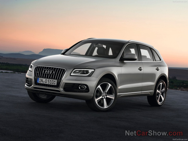 audi q5 pic #91450