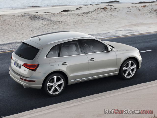 audi q5 pic #91451