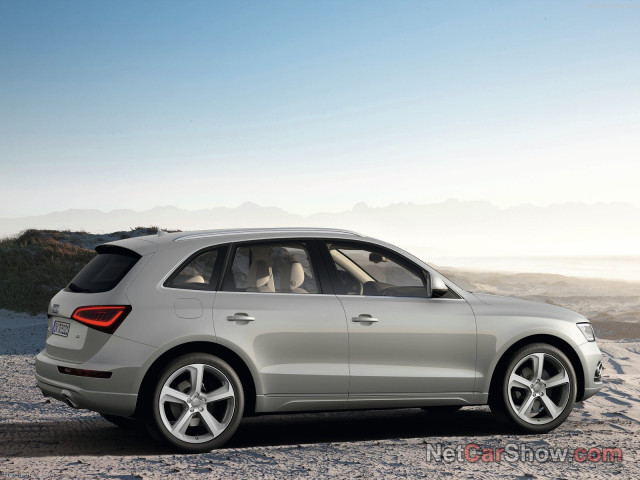 audi q5 pic #91452