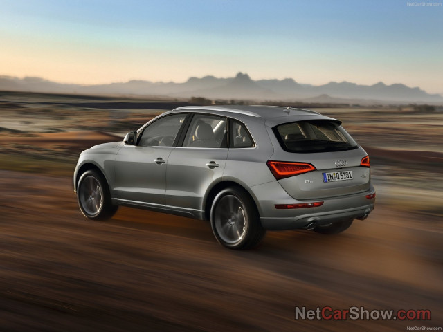 audi q5 pic #91469