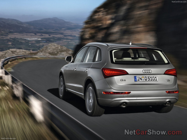 audi q5 pic #91470