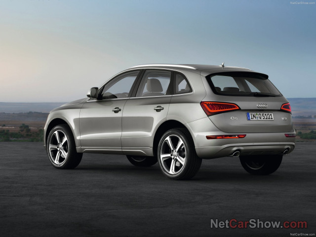 audi q5 pic #91471