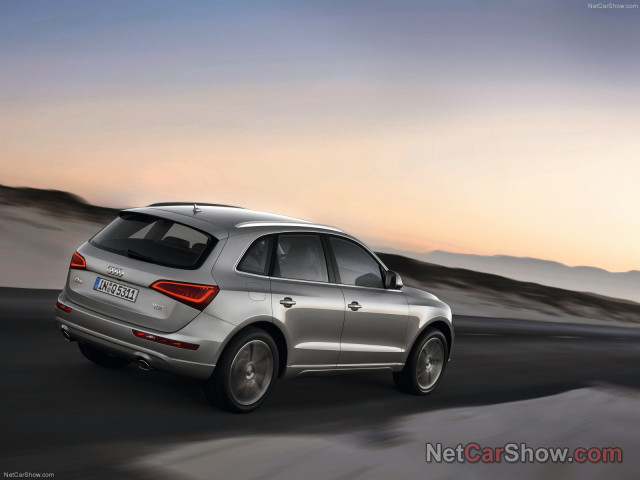 audi q5 pic #91472