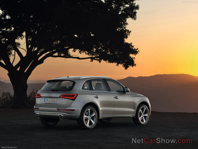 audi q5 pic #91473