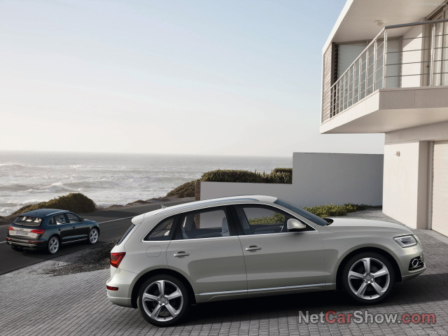 audi q5 pic #91475