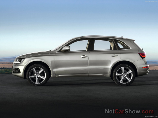 audi q5 pic #91476