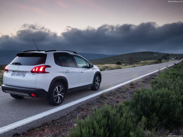 peugeot 2008 pic #181833