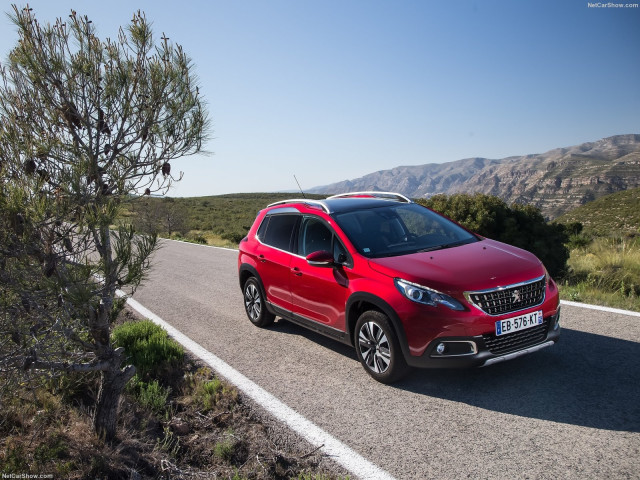 peugeot 2008 pic #181845