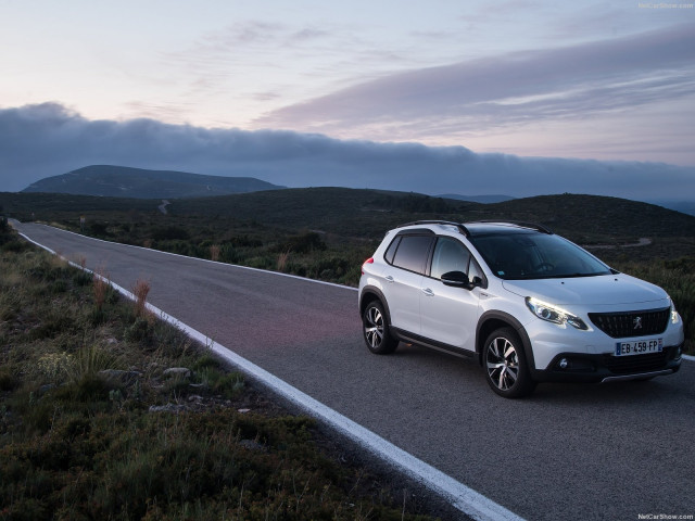 peugeot 2008 pic #181849