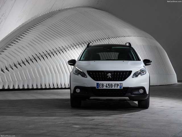 peugeot 2008 pic #181850