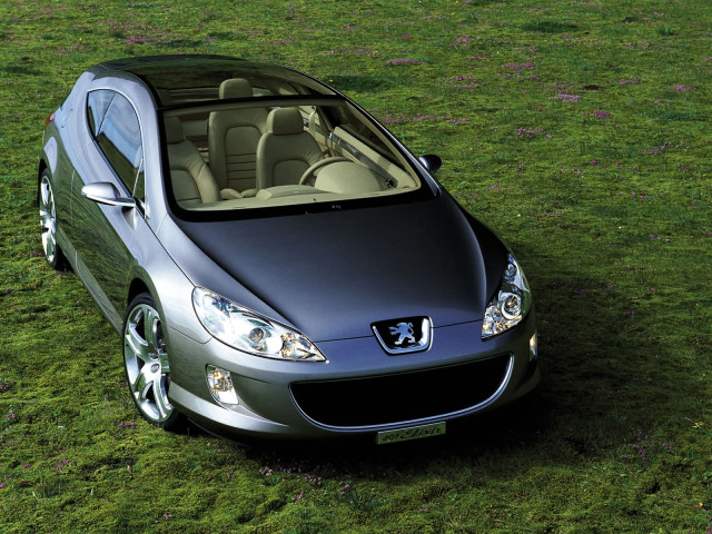 peugeot 407 pic #1996