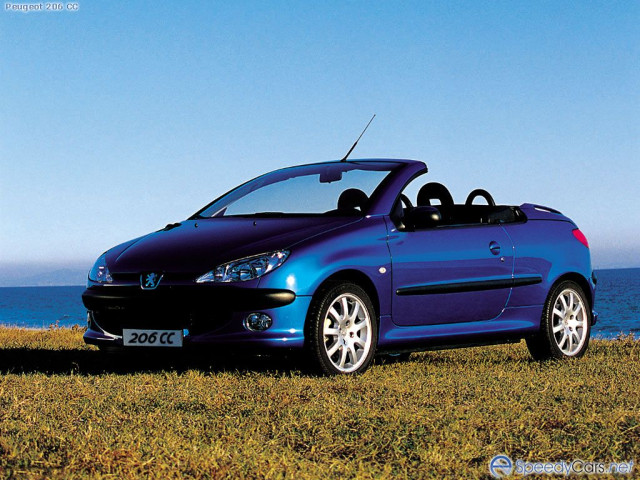 peugeot 206 pic #2000