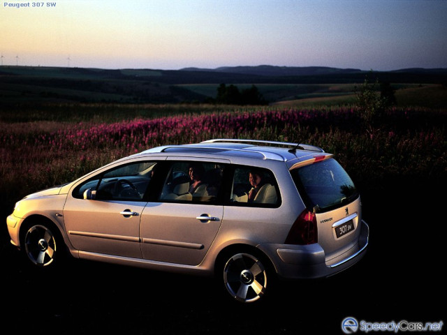 peugeot 307 pic #2008