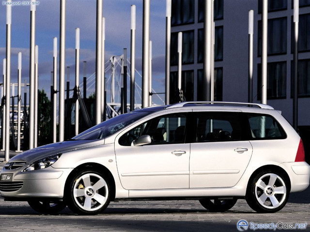 peugeot 307 pic #2009