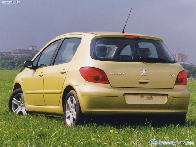 peugeot 307 pic #2012