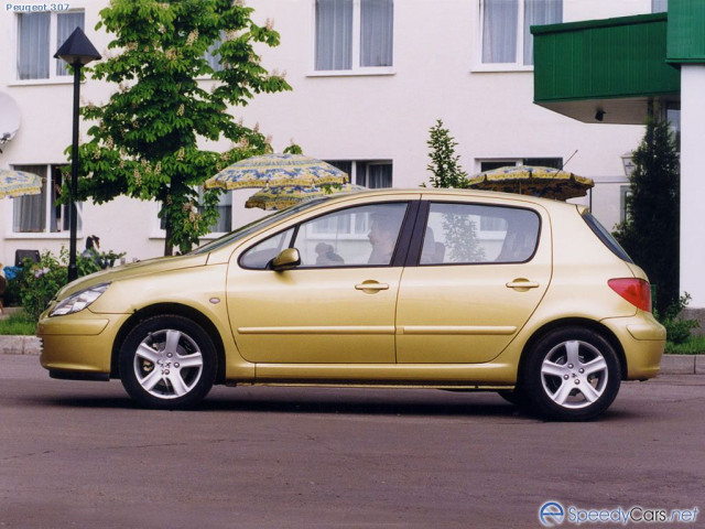 peugeot 307 pic #2013