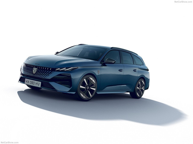 peugeot 308 sw pic #206988
