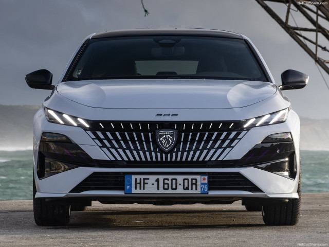 peugeot 308 pic #207451