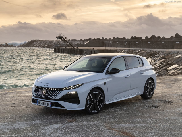 peugeot 308 pic #207453