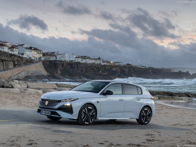 peugeot 308 pic #207456