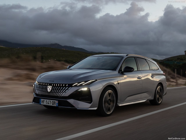 peugeot 308 sw pic #207489