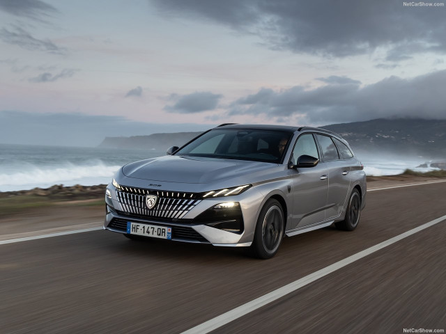 peugeot 308 sw pic #207490