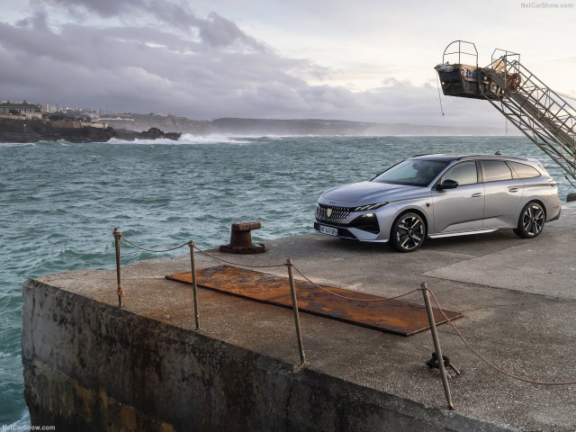 peugeot 308 sw pic #207491