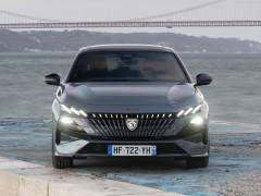 308 SW photo #207494