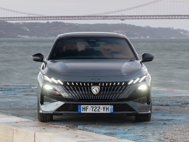 peugeot 308 sw pic #207494