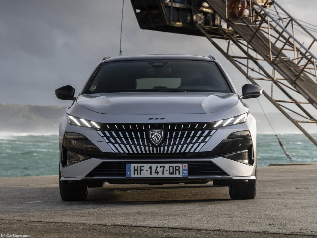 peugeot 308 sw pic #207495