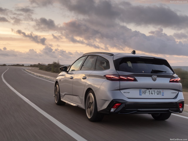 peugeot 308 sw pic #207496