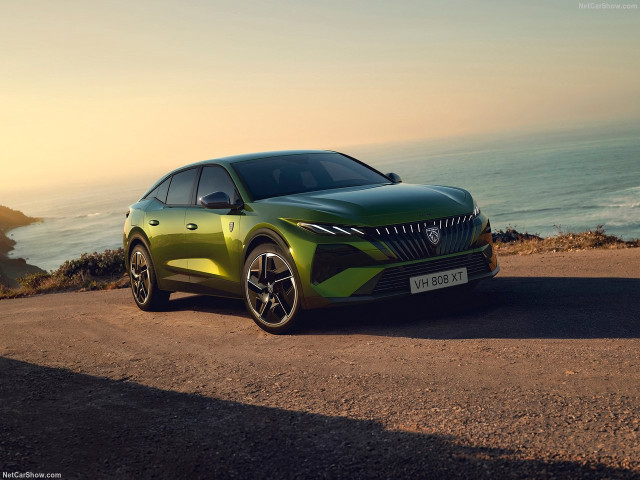 peugeot 408 pic #207708