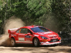 307 WRC photo #30547