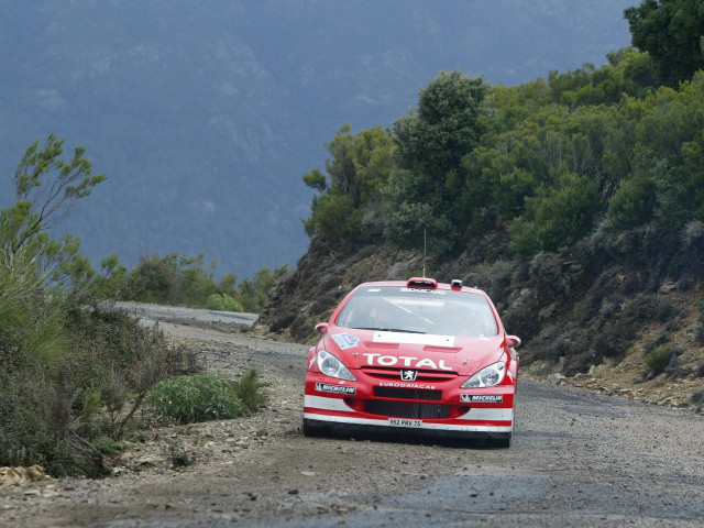 peugeot 307 wrc pic #30555