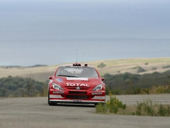 307 WRC photo #30560
