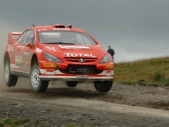 307 WRC photo #30563