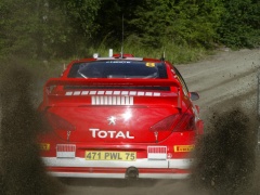 307 WRC photo #30575