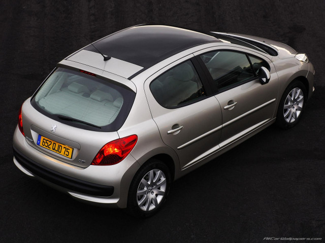 peugeot 207 pic #31065