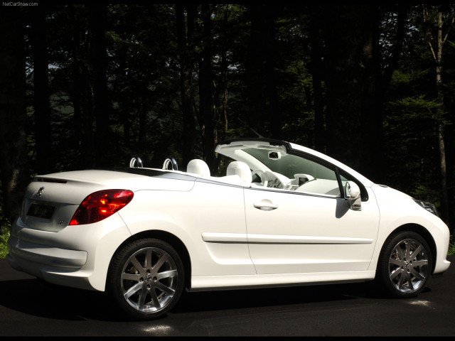 peugeot 207 pic #38055