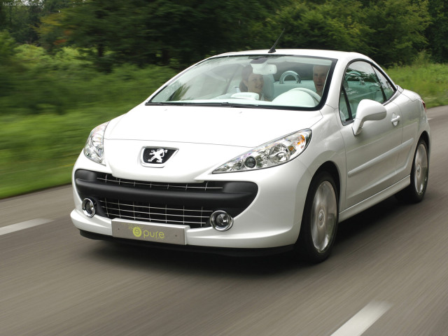 peugeot 207 pic #38060