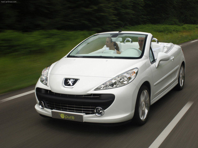 peugeot 207 pic #38061