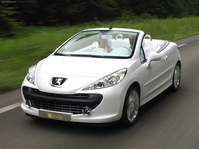 peugeot 207 pic #38063