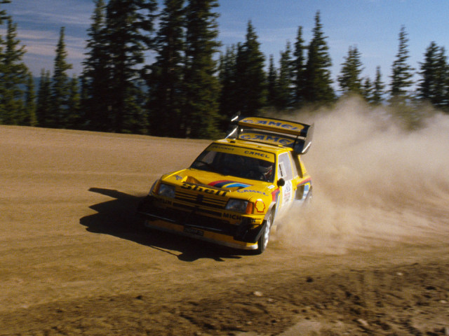 peugeot 205 t16 pikes peak  pic #40234