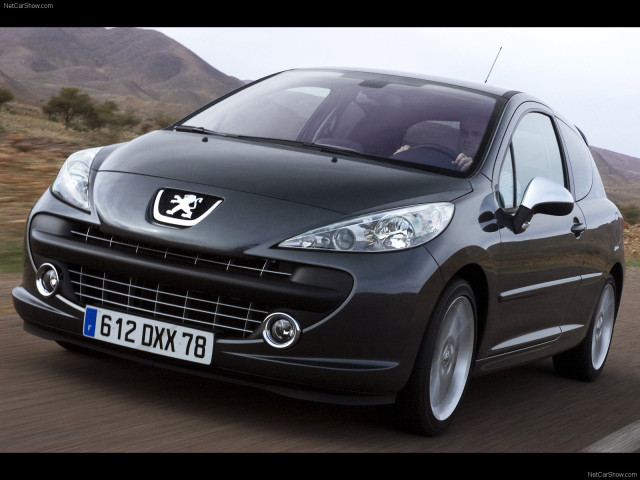 peugeot 207 rc pic #41733